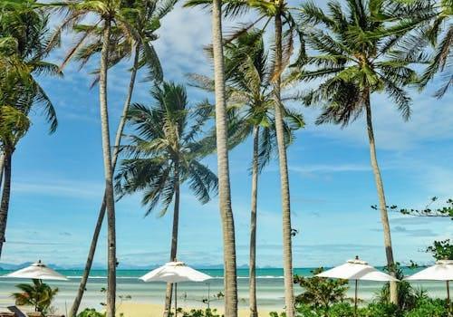 Atlantic Hotel Agadir